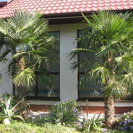 Pokoje Goscinne Pod Palmami Busko Zdroj Exterior photo